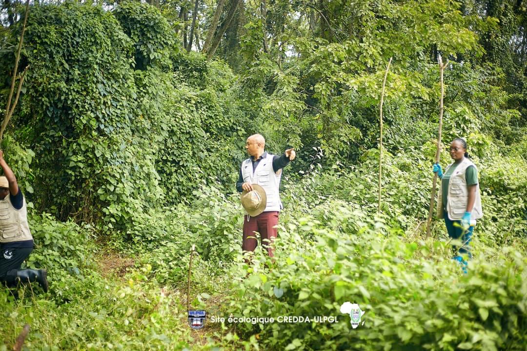 Activité communautaire de salubrité : Nettoyage des déchets et protection des arbres sur le site de la Clinique Environnementale du CREDDA